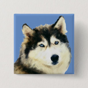 Gorgous Siberian husky Pin Button Knapp