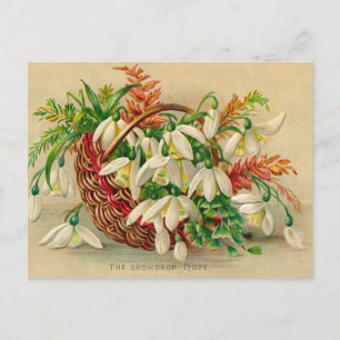 Gorgous Victorian Blommigt Basket of Snowdrops Vykort