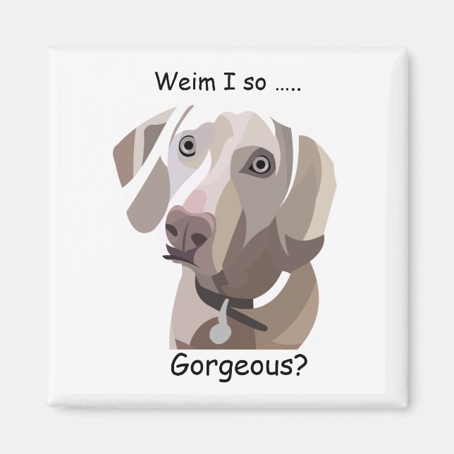 Gorgous Weimaraner magnet (Framsidan)