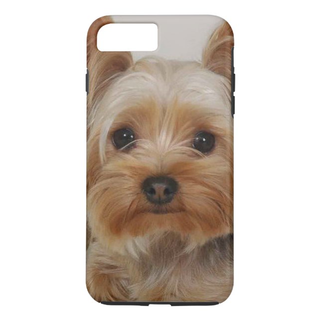 Gorgous Yorkshire Terrier Case-Mate iPhone Skal (Baksida)