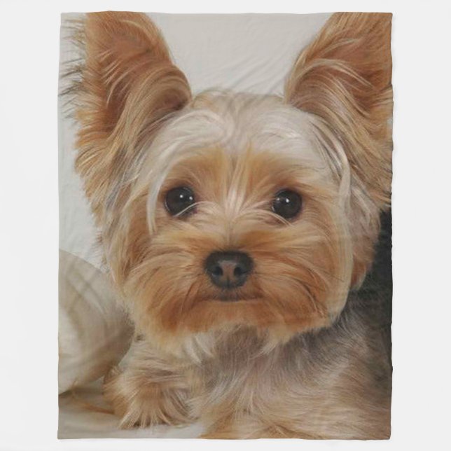 Gorgous Yorkshire Terrier Fleecefilt (Framsidan)