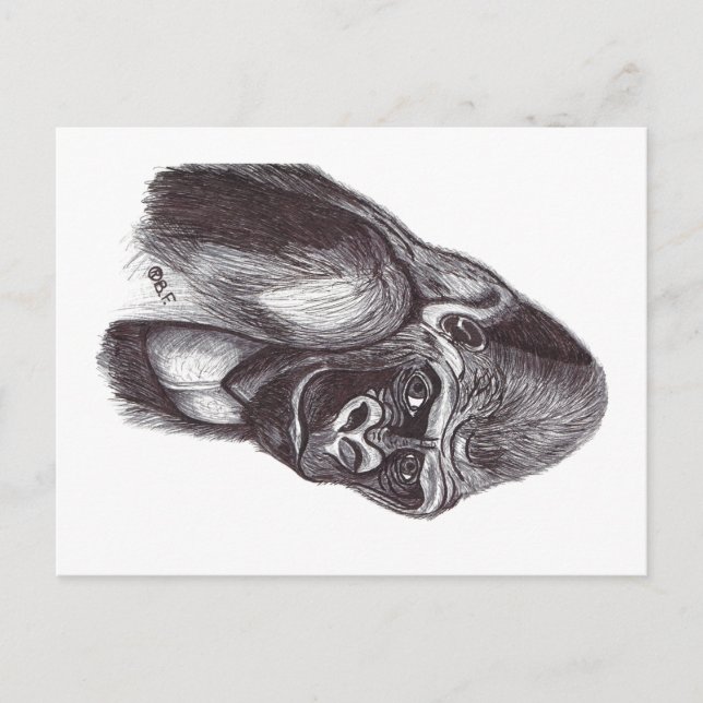 GORILA HELG VYKORT (Framsida)