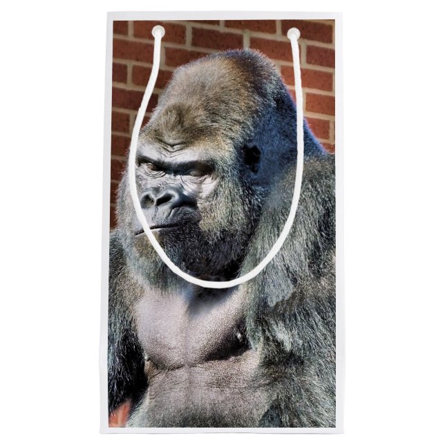 GORILLA (Framsidan)
