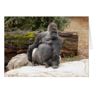 Gorilla_022 Hälsningskort