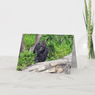 Gorilla (0533)-hälsningskort kort