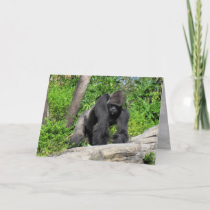 Gorilla (0536) gratulationskort kort