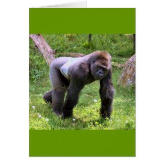Gorilla #1 hälsningskort