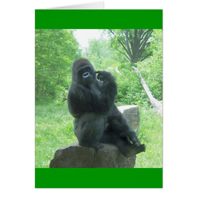 Gorilla #3 hälsningskort (Framsidan)