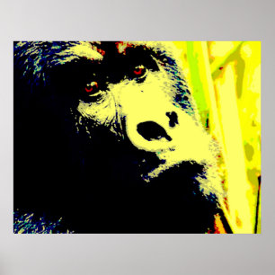 Gorilla Ansikte Poster Skriv ut. Gorilla Poster