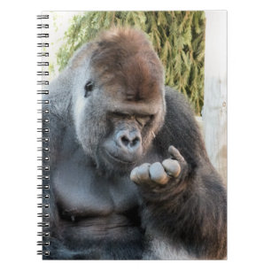 GORILLA ANTECKNINGSBOK
