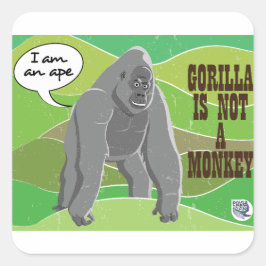 Gorilla är ingen apa fyrkantigt klistermärke