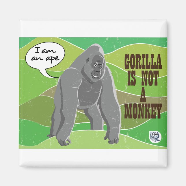 Gorilla är ingen apa magnet (Framsidan)