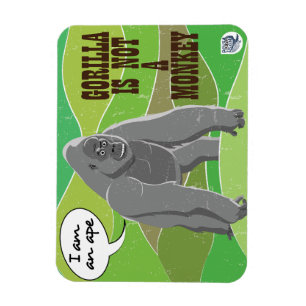 Gorilla är ingen apa magnet