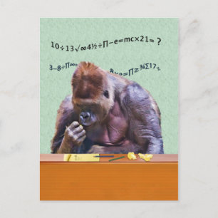 Gorilla at Desk Postcard Vykort
