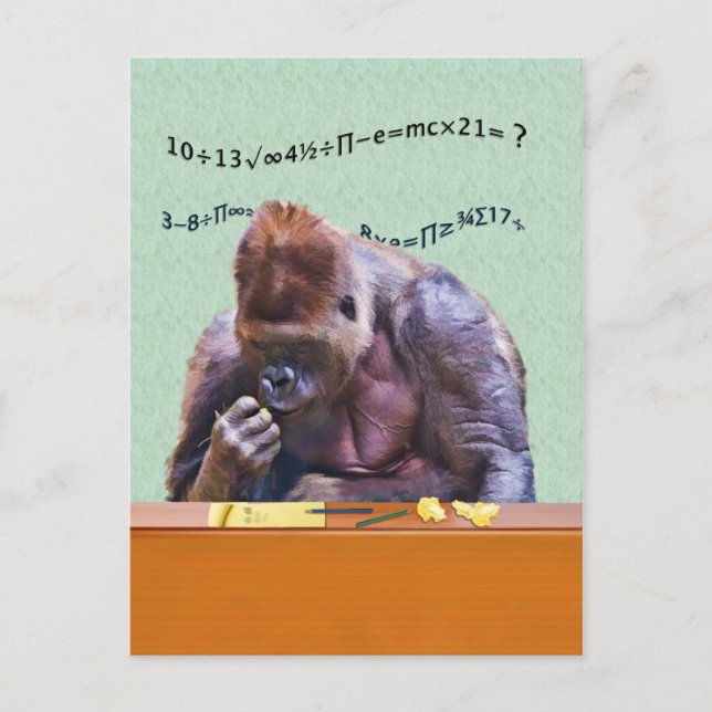 Gorilla at Desk Postcard Vykort (Framsida)