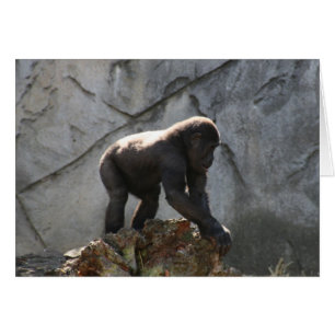 gorilla baby hälsningskort