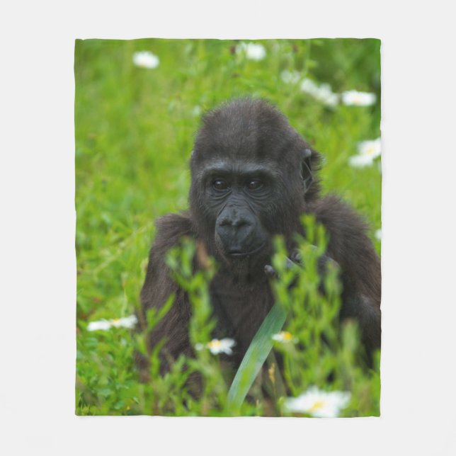 Gorilla Baby som Gömmer i gräs Fleecefilt (Framsidan)