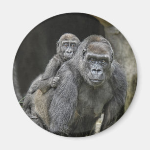Gorilla- & babymagnet magnet