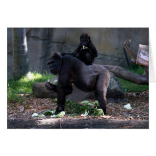 gorilla back hälsningskort