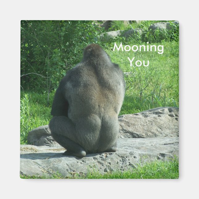 Gorilla backside, Mooning You Magnet (Framsidan)