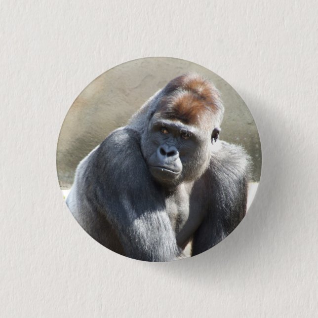 Gorilla Badge Knapp (Framsida)