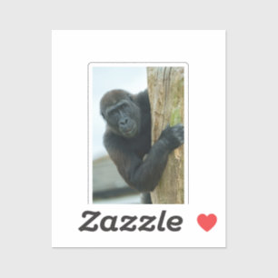 Gorilla bakom Träd Klistermärken
