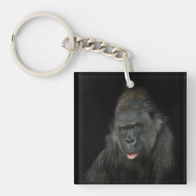 Gorilla Biddy (Framsidan)
