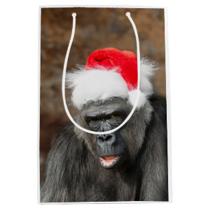 Gorilla Biddy i en julafton