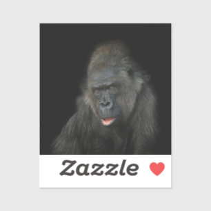 Gorilla Biddy Klistermärken