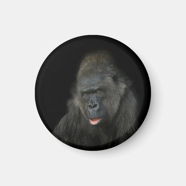 Gorilla Biddy Magnet (Framsidan)