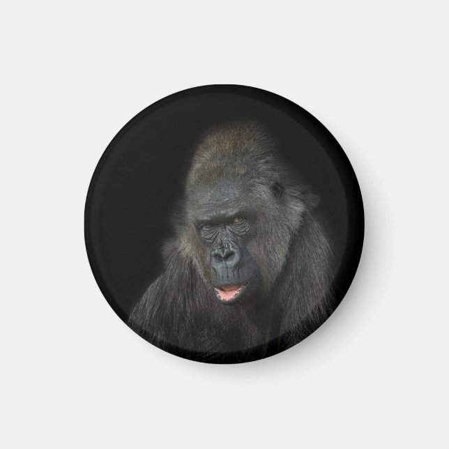 Gorilla Biddy Magnet (Framsidan)
