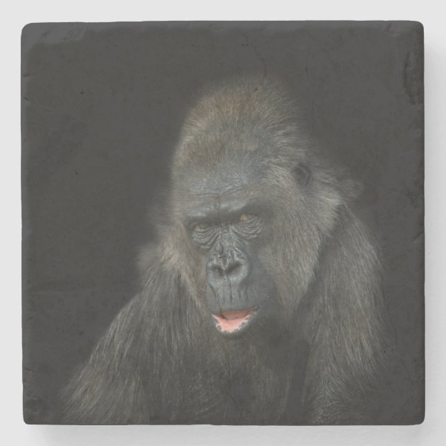 Gorilla Biddy Stenunderlägg (Framsidan)