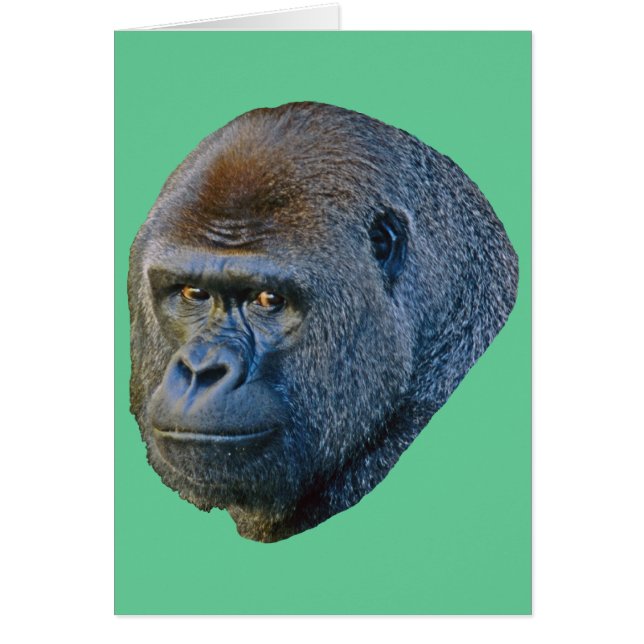 Gorilla Bild Hälsningskort (Framsidan)