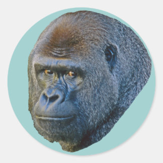 Gorilla Bild Runt Klistermärke