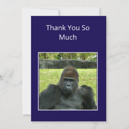 Gorilla Birthday Bash in the Wild Tack Kort