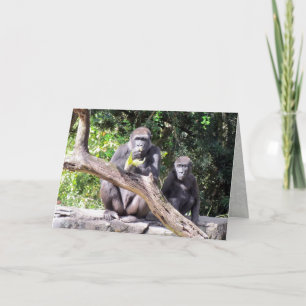 Gorilla Birthday-kort Kort
