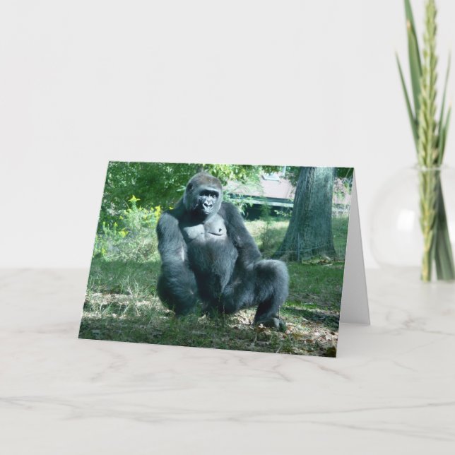 Gorilla Blank Greeting Card Kort (Framsida)
