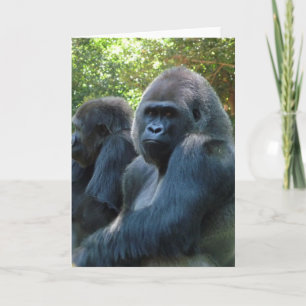 Gorilla Blankt gratulationskort Kort