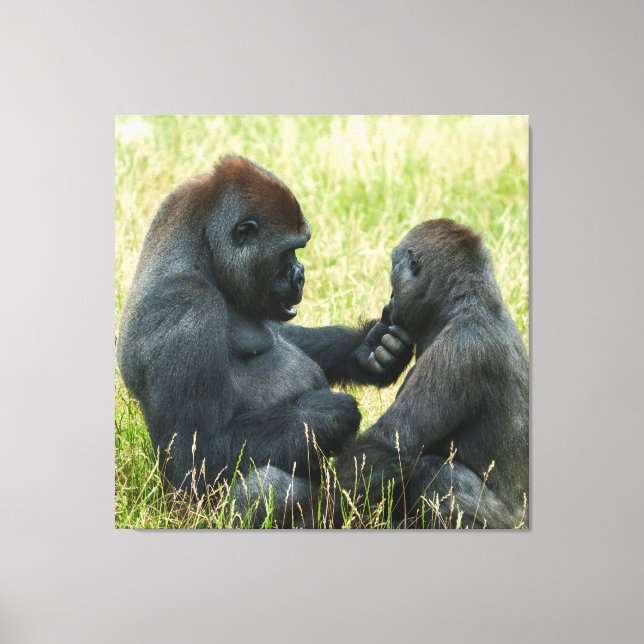 Gorilla Brothers Forever Canvastryck (Framsida)