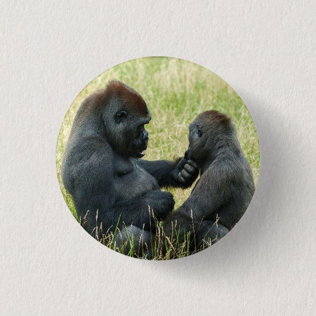 Gorilla Brothers Forever Knapp (Framsida)