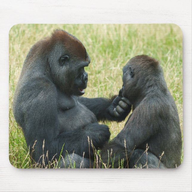 Gorilla Brothers Forever Musmatta (Framsidan)