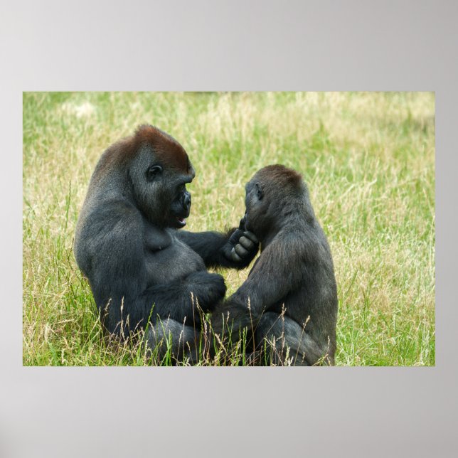 Gorilla Brothers Forever Poster (Framsidan)