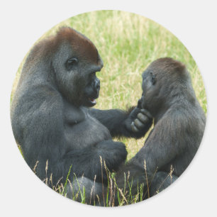 Gorilla Brothers Forever Runt Klistermärke