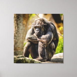 Gorilla Canvastryck