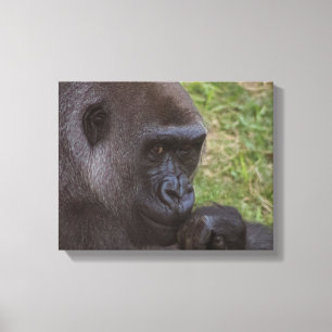 Gorilla Canvastryck