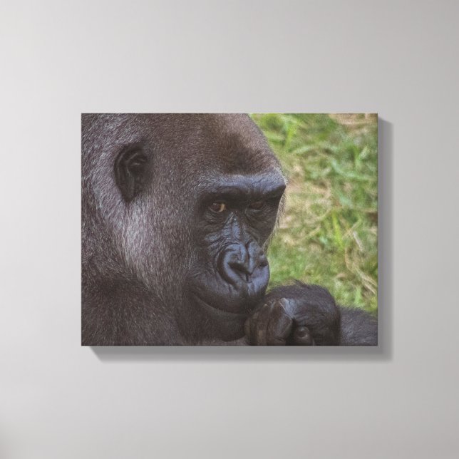 Gorilla Canvastryck (Framsida)