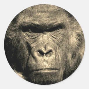 Gorilla Classic Round Sticker Runt Klistermärke