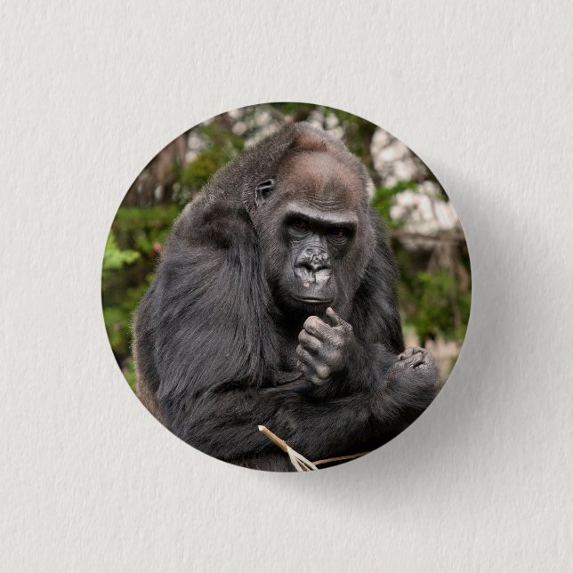 Gorilla F 8672 Knapp (Framsida)