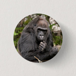 Gorilla F 8672 Knapp