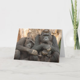 Gorilla Family Kort